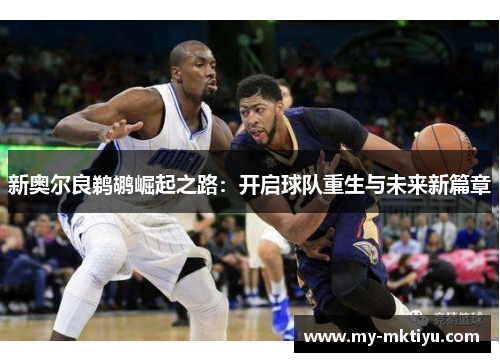 新奥尔良鹈鹕崛起之路:开启球队重生与未来新篇章 新奥尔良鹈鹕崛起之路:开启球队重生与未来新篇章