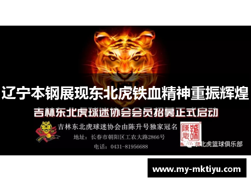 辽宁本钢展现东北虎铁血精神重振辉煌 辽宁本钢展现东北虎铁血精神重振辉煌