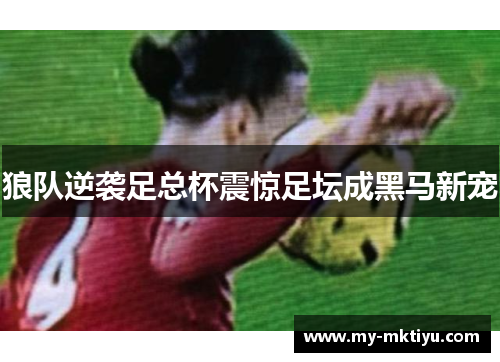 狼队逆袭足总杯震惊足坛成黑马新宠 狼队逆袭足总杯震惊足坛成黑马新宠